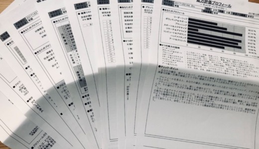 ハローワークで適職診断（キャリアインサイト）を受けてみた