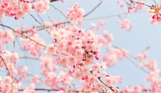 派遣求人の多い4月始まりの仕事を探す際の注意点
